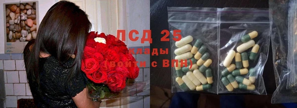 ECSTASY Алзамай