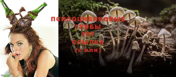 экстази Алексеевка