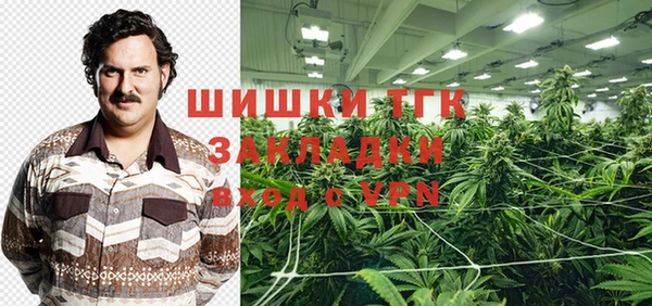 ECSTASY Алзамай