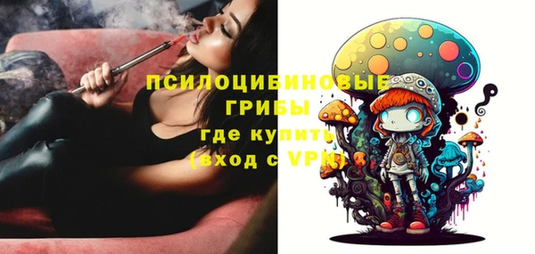 ECSTASY Алзамай