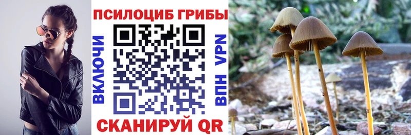 Псилоцибиновые грибы ЛСД  Шатура 